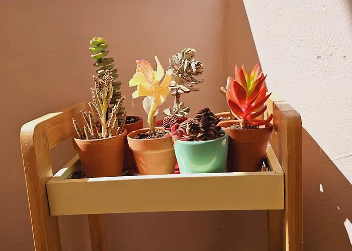 Apartment Nuci's Place 3, Cozy 1 Bedroom With Balcony Near Bllok Tirana